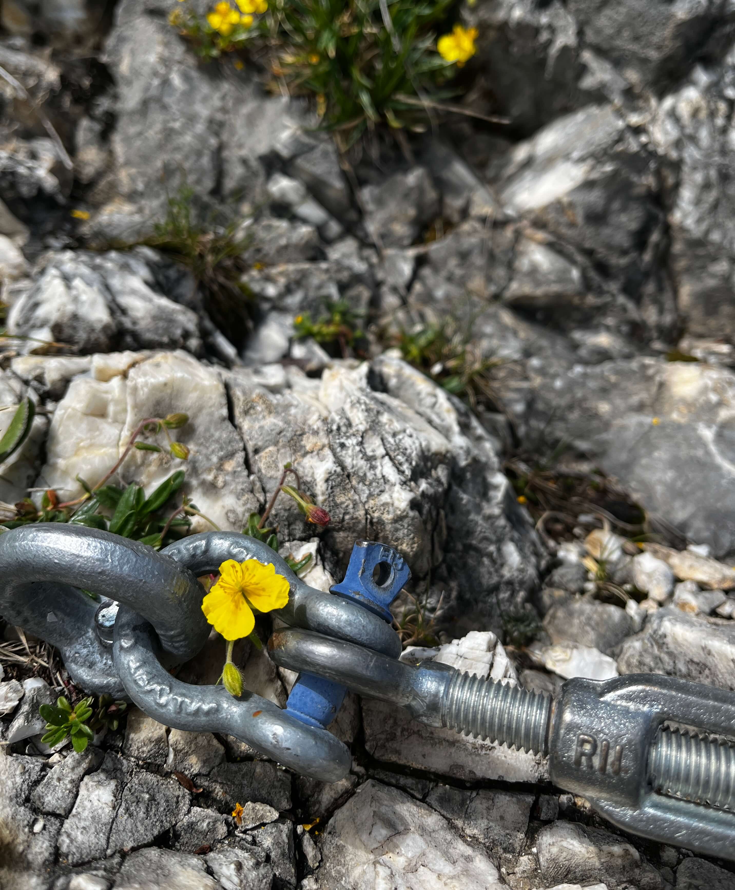 Ein Anker im Felsen